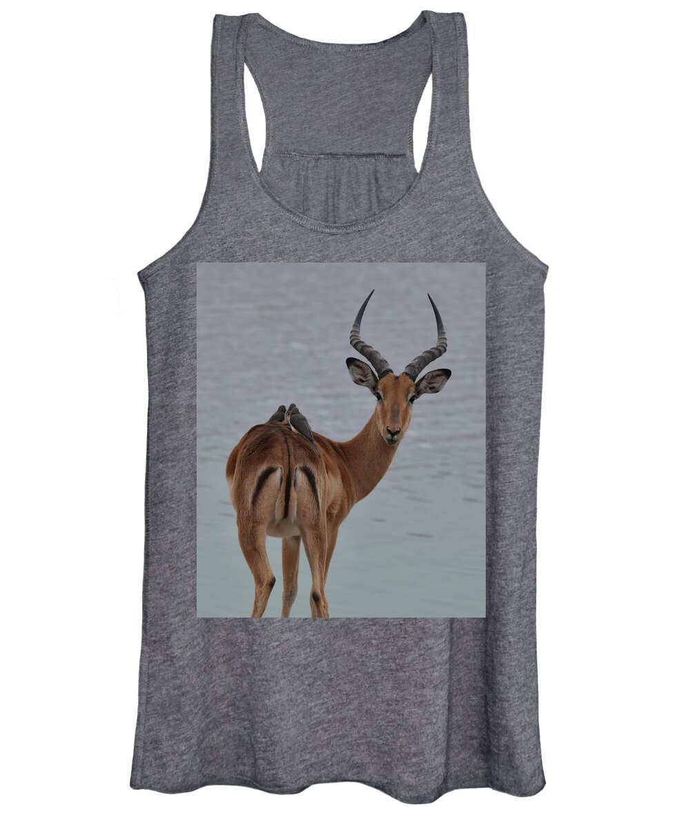Impala Women's Tank Top featuring the photograph Impala with Oxpeckers by Ben Foster