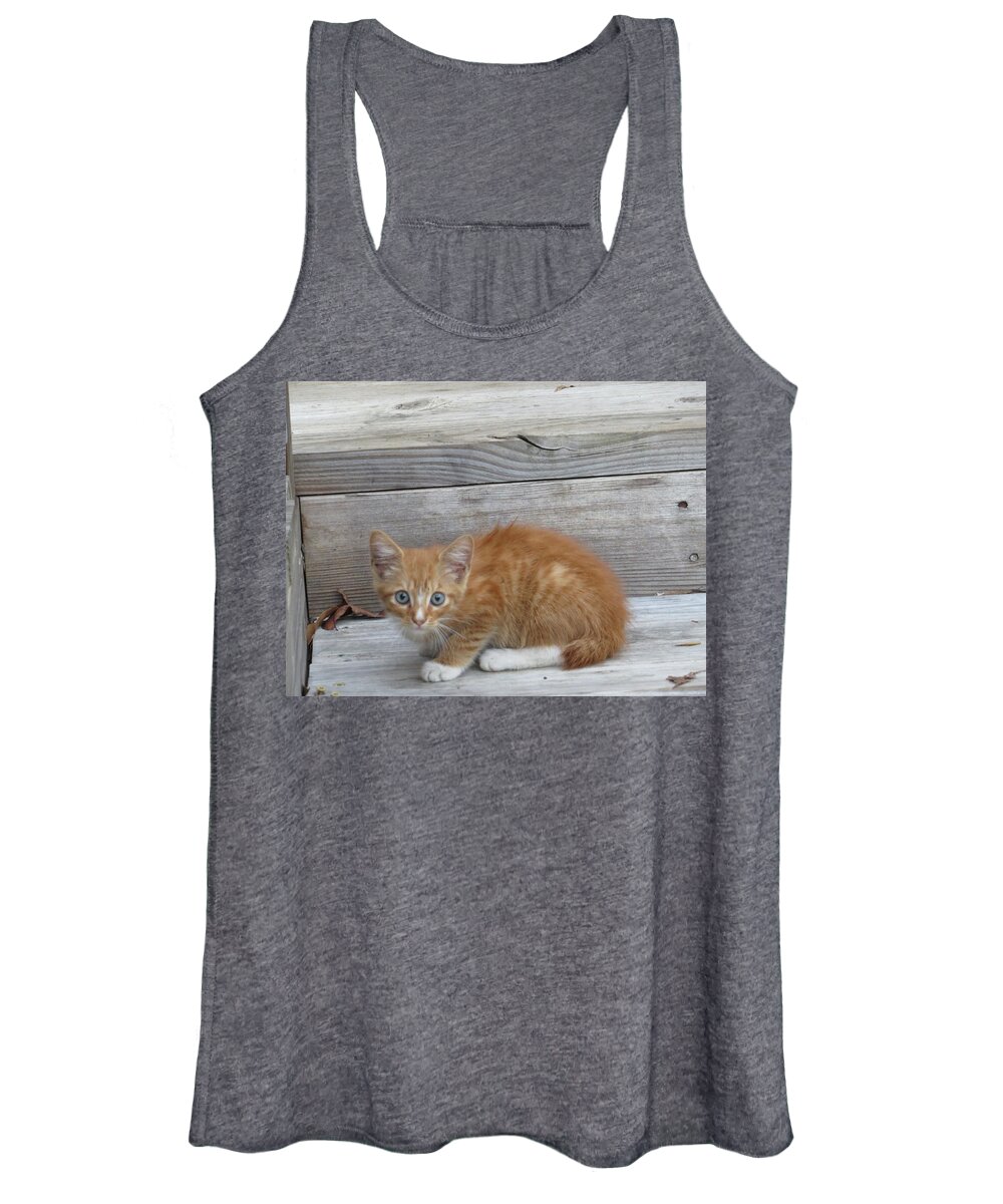 Kitten Women's Tank Top featuring the photograph Just Chillin' by Aaron Martens