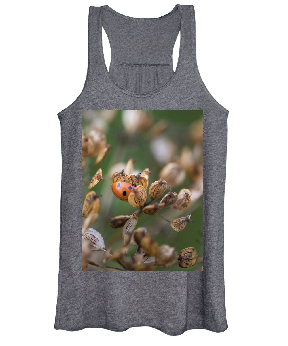 Nature Women's Tank Top featuring the photograph Lady bird / lady bug in flower seed head by Anita Nicholson