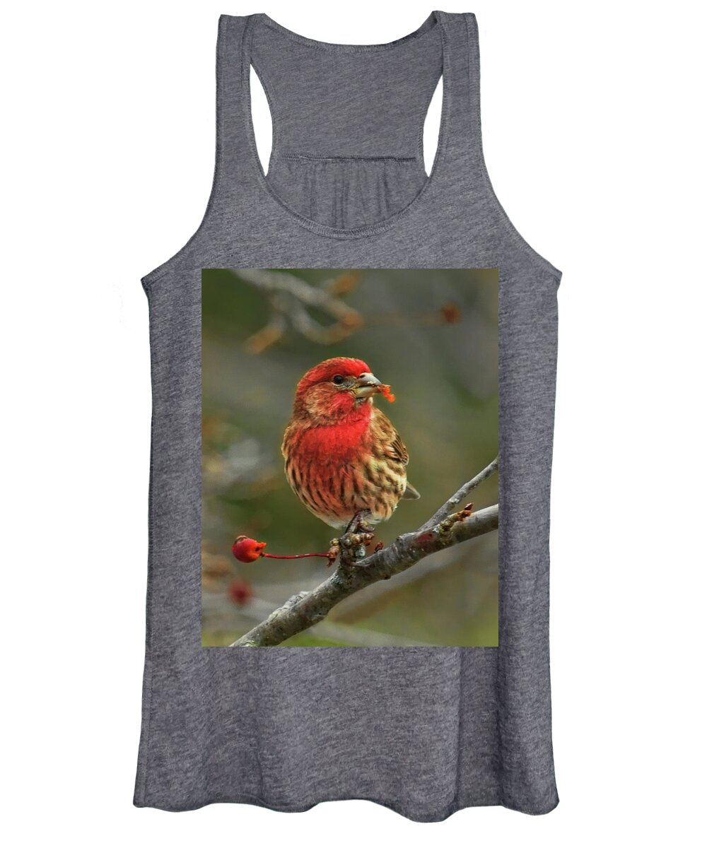 Wildlife Women's Tank Top featuring the photograph Male House Finch With Crabapple by Dale Kauzlaric