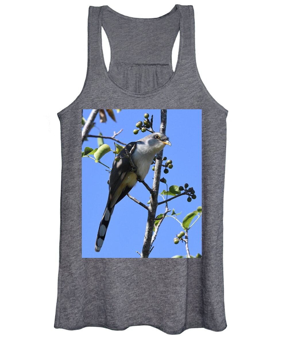 Cuckoo Women's Tank Top featuring the photograph Mangrove Cuckoo by Jim Bennight