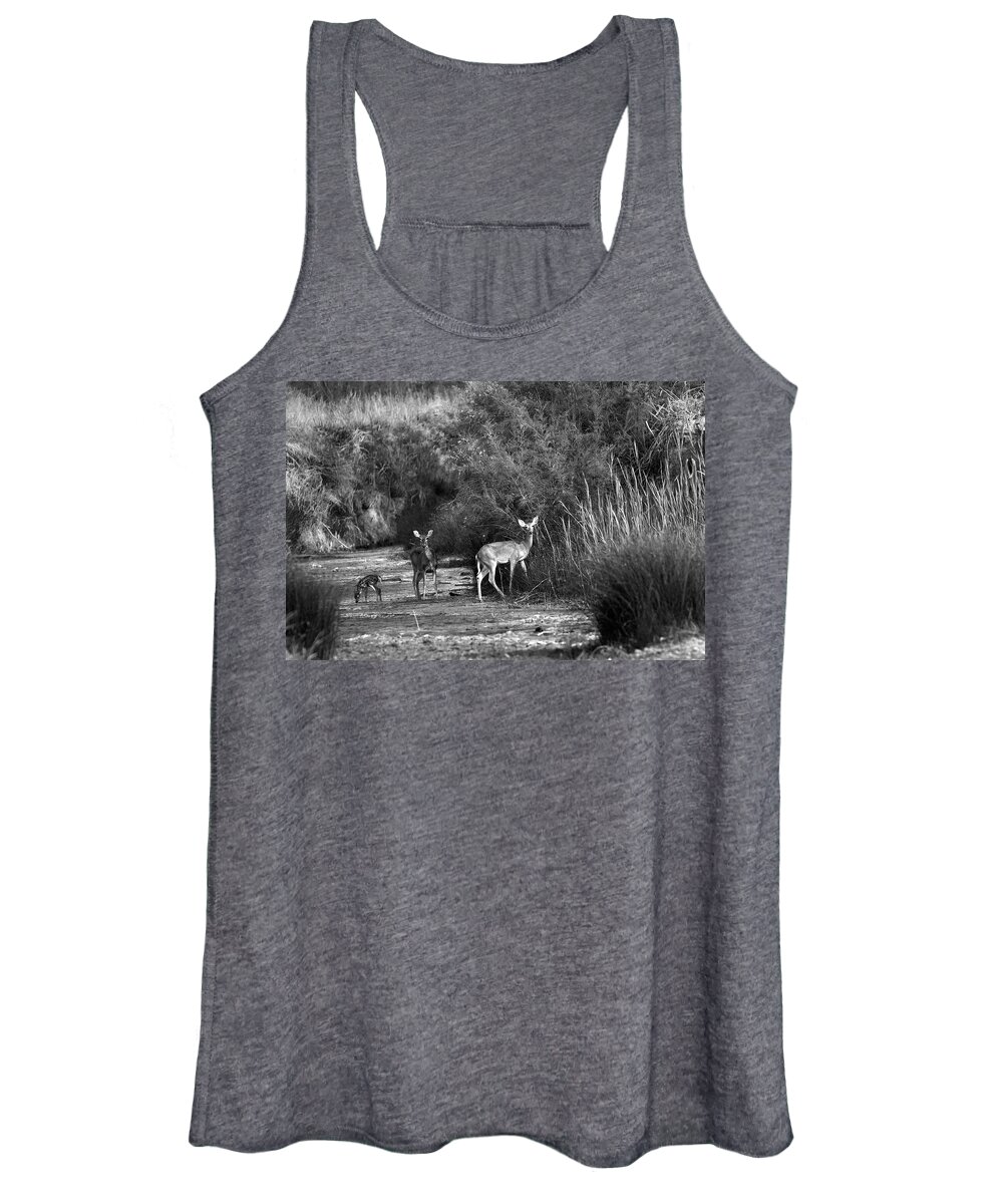 Richard E. Porter Women's Tank Top featuring the photograph Morning Drink - Deer, Palo Duro Canyon State Park, Texas by Richard Porter