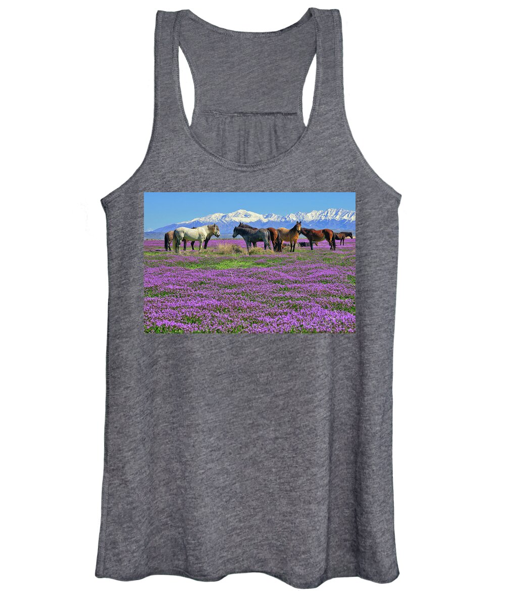 Onaqui Wild Horses Women's Tank Top featuring the photograph Onaqui Spring by Greg Norrell