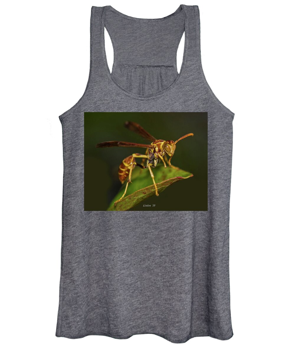 Wasp Women's Tank Top featuring the photograph Paper Wasp by Larry Linton