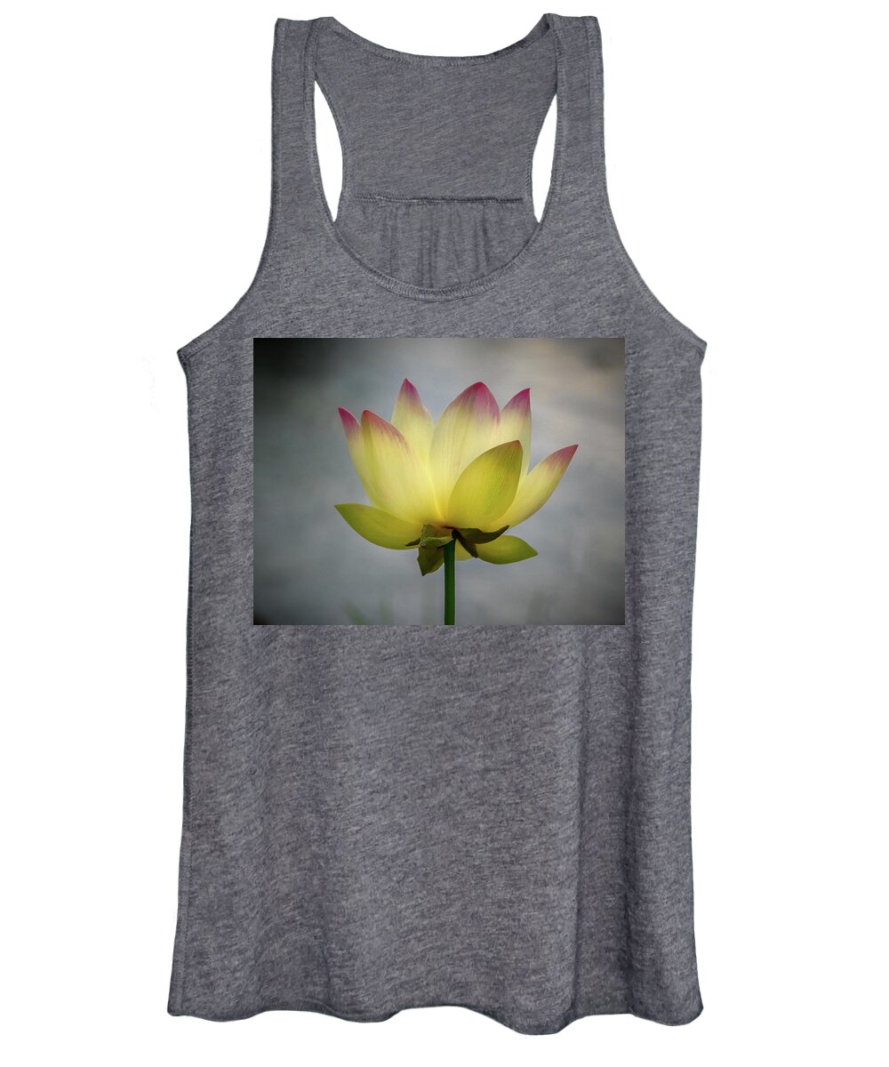 Color Women's Tank Top featuring the photograph Pink Tipped Lotus by Jean Noren