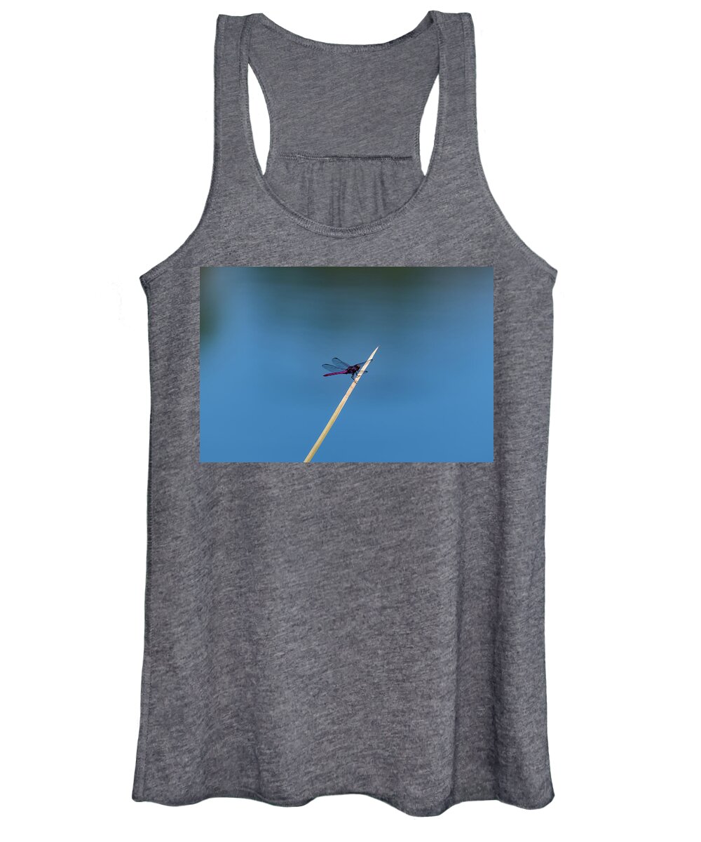 Dragonfly Women's Tank Top featuring the photograph Purple Dragonfly by Douglas Killourie