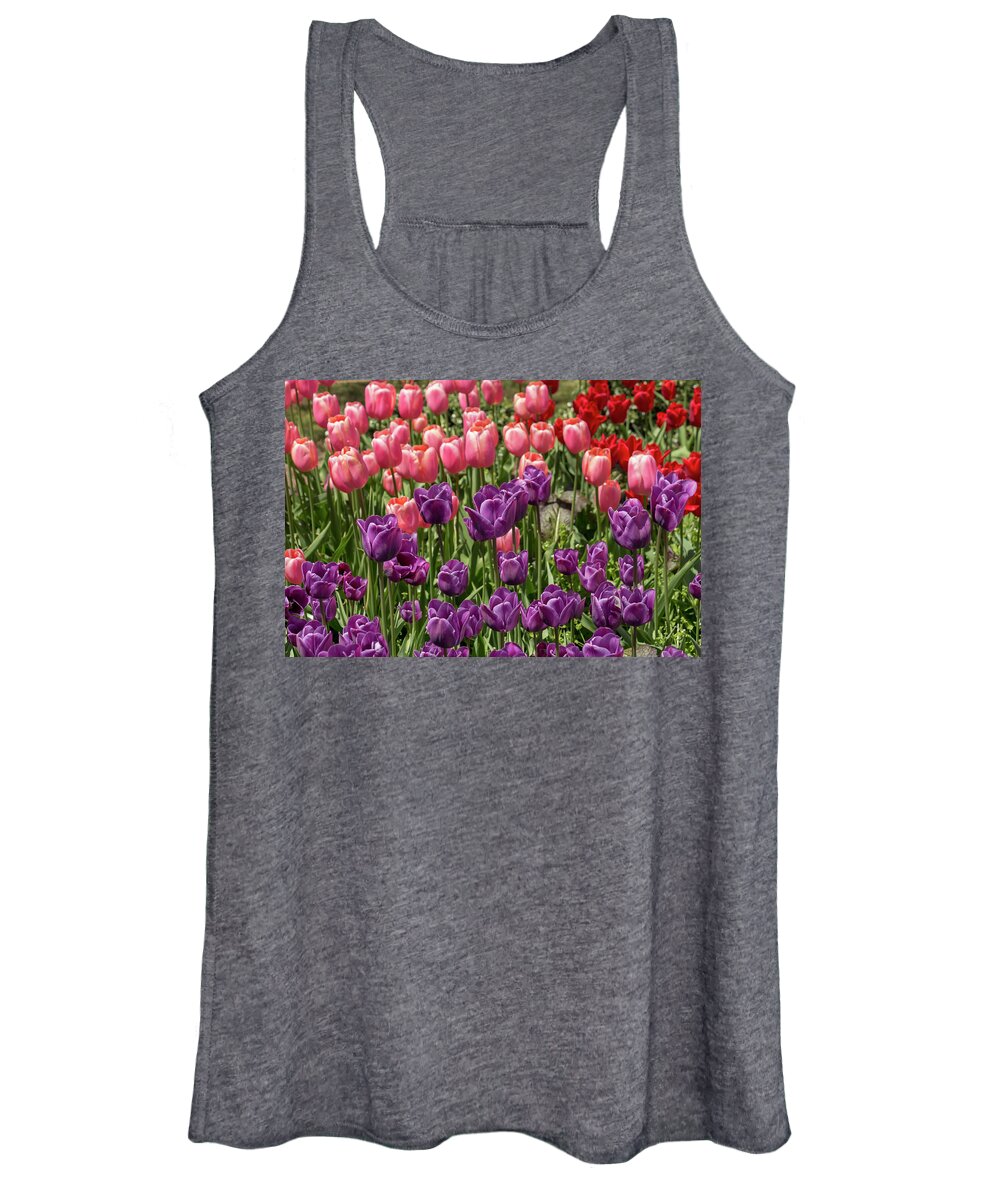 Flower Women's Tank Top featuring the photograph Purple, Pink, and Red Tulips by Dawn Cavalieri