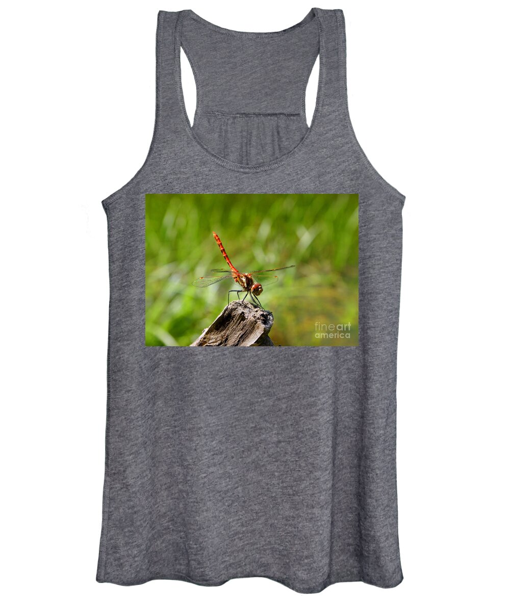 Close-up Women's Tank Top featuring the photograph Red Meadowhawk Dragonfly Sympetrum species helicopter of the animal world resting standing on branch by Robert C Paulson Jr