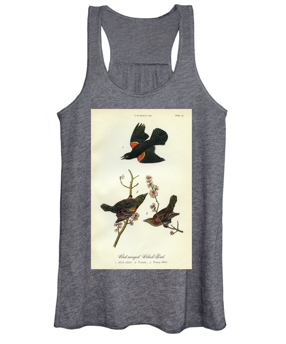 Bird Women's Tank Top featuring the mixed media Red-Winged Black-Bird by Unknown