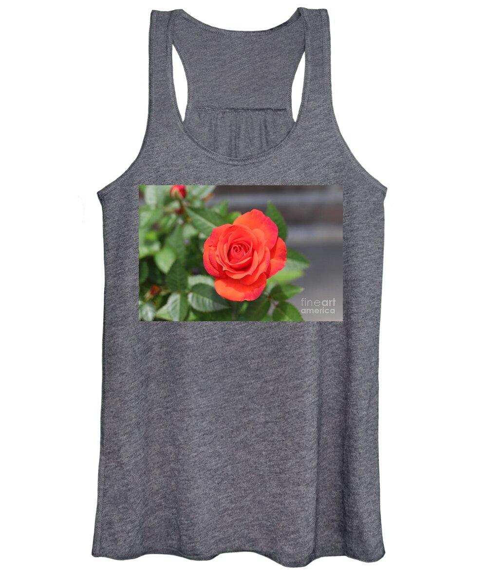 Rose Women's Tank Top featuring the photograph Rose by Barbra Telfer