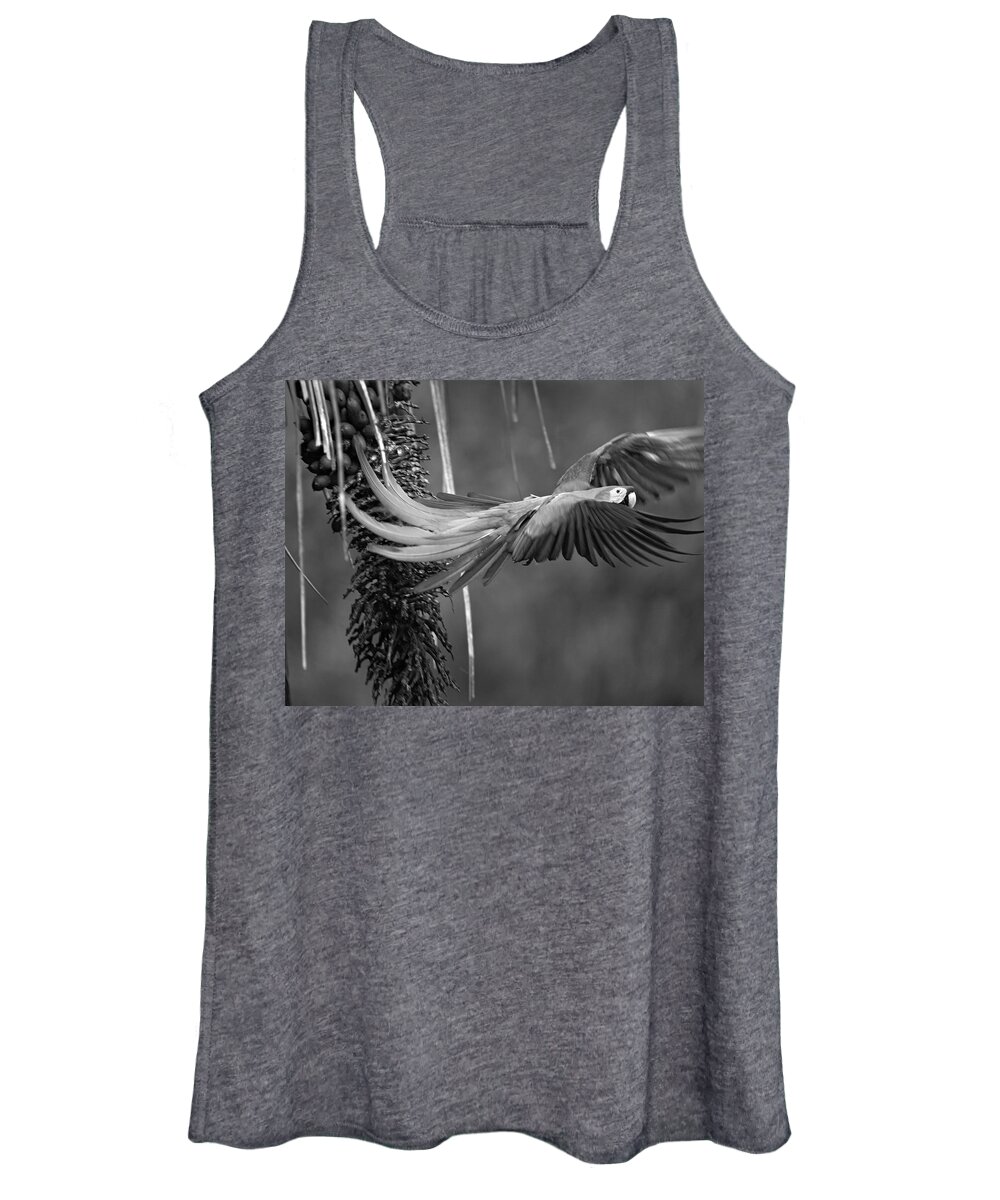 Disk1215 Women's Tank Top featuring the photograph Scarlet Macaw Takes Flight by Tim Fitzharris