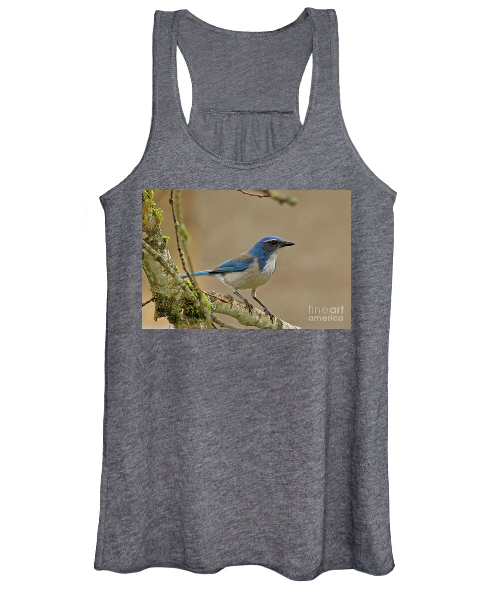 Scrub Jay Women's Tank Top featuring the photograph Scrub Jay by Natural Focal Point Photography