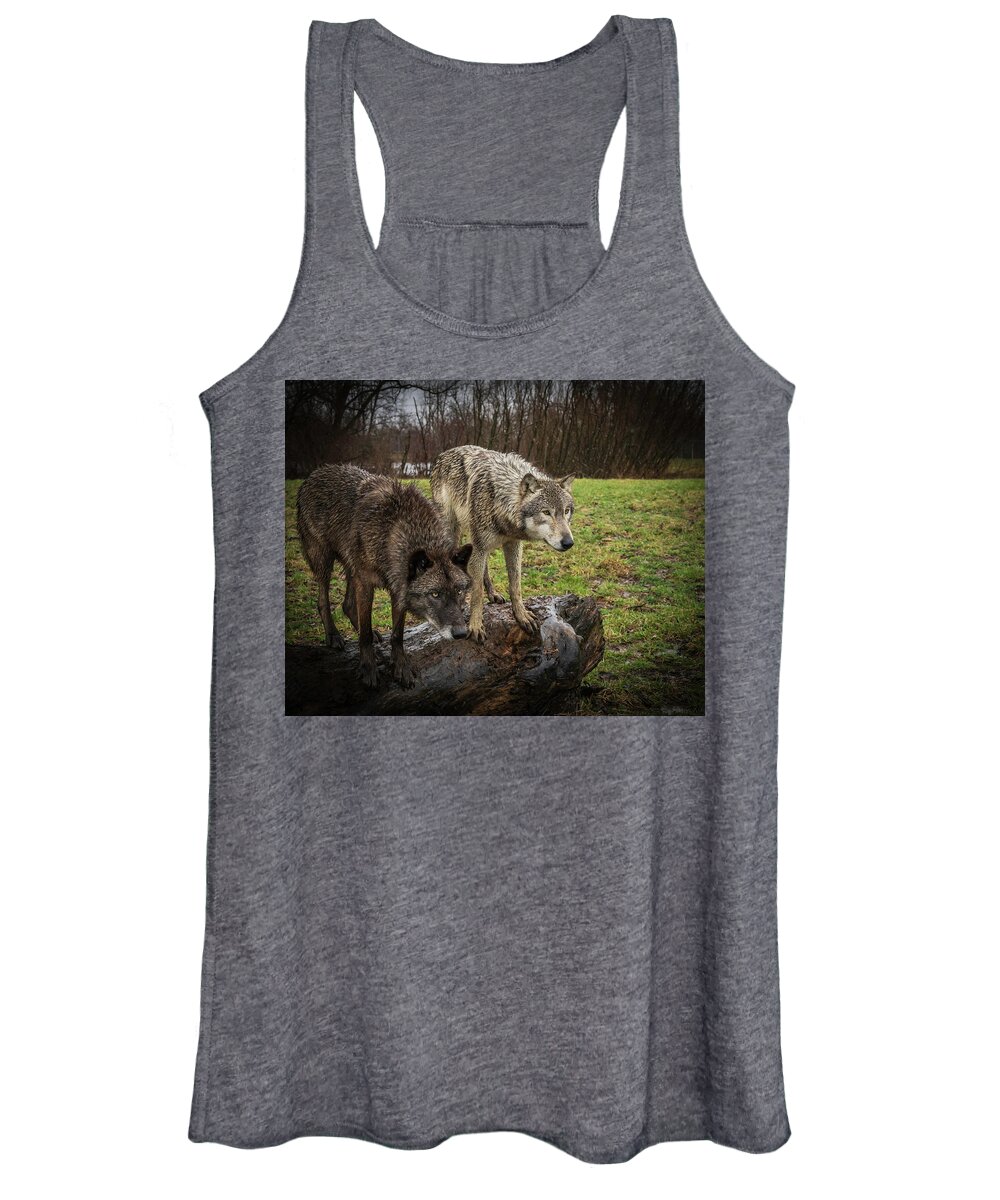 Black Wolf Wolves Women's Tank Top featuring the photograph Sort of Twins by Laura Hedien