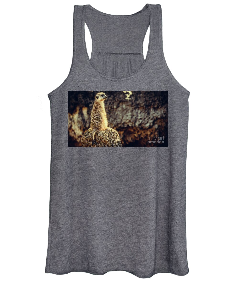 Wildlife Women's Tank Top featuring the photograph The Cat who does not Meow... by Dheeraj Mutha