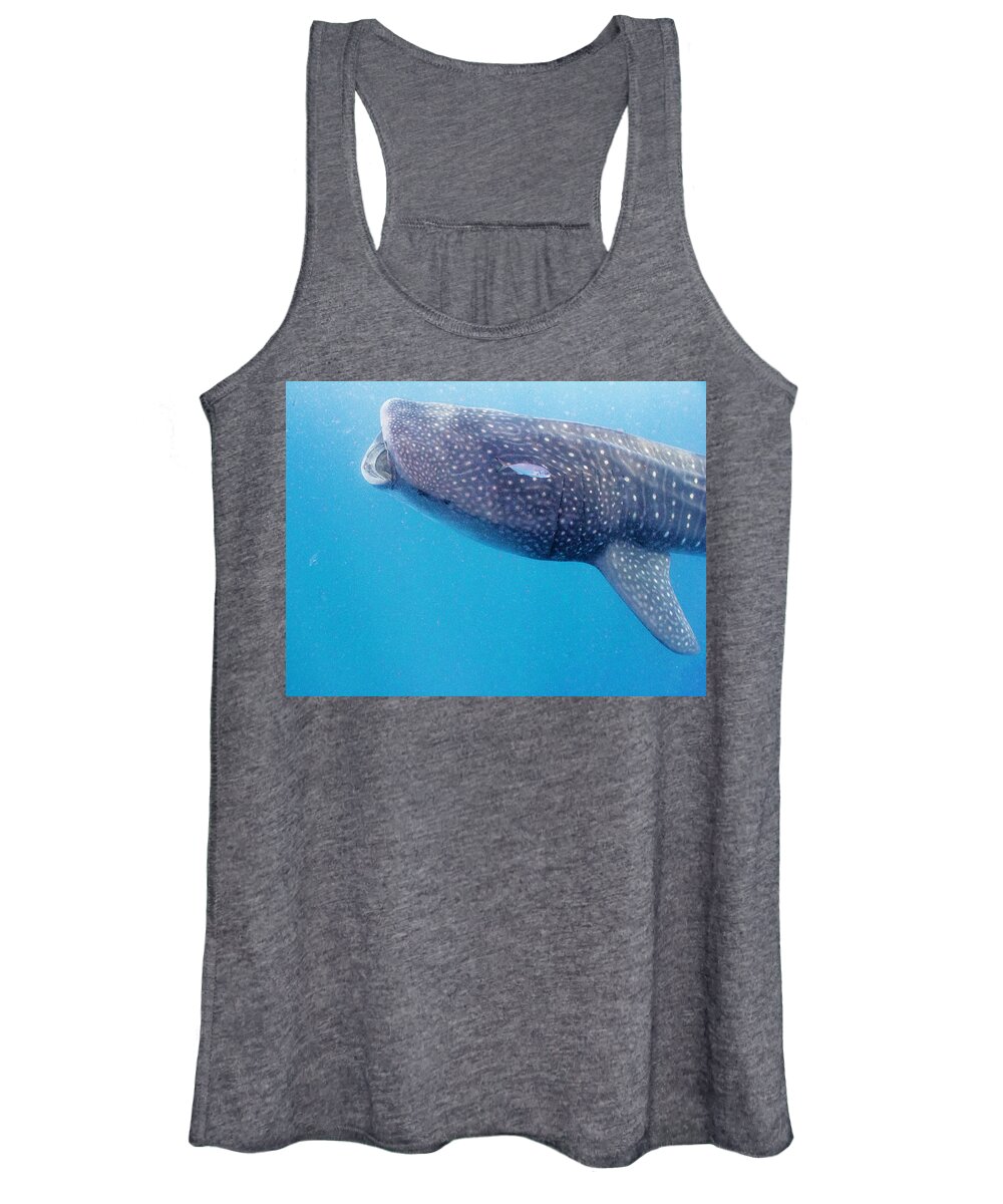 Ocean Women's Tank Top featuring the photograph Time To Krill by Lynne Browne