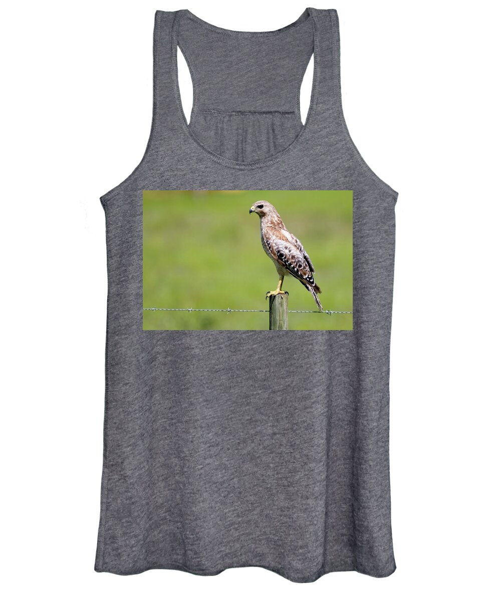 Wildlife Women's Tank Top featuring the photograph Waiting for a Meal Florida Red-Shouldered Hawk by T Lynn Dodsworth