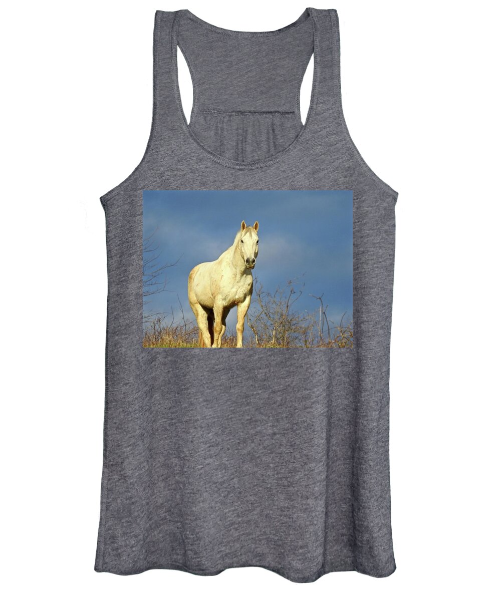 Women's Tank Top featuring the photograph White Horse by Kathy Chism