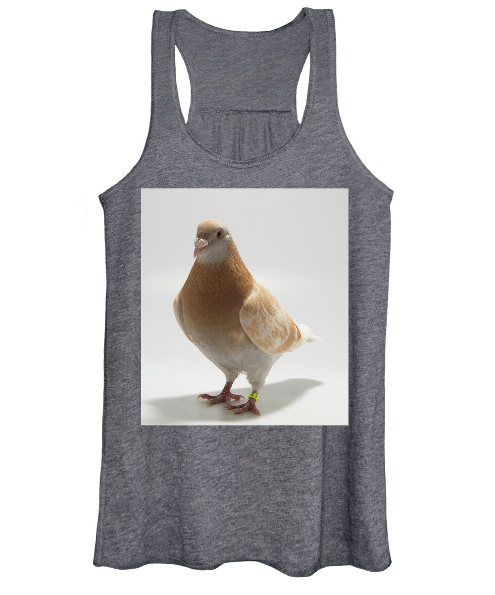 Pigeon Women's Tank Top featuring the photograph Yellow Exhibition Homing Pigeon by Nathan Abbott