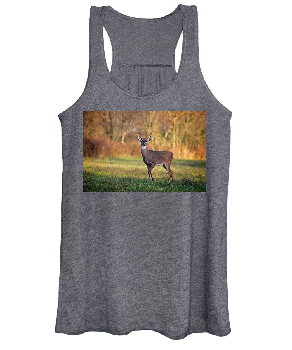 Wildlife Women's Tank Top featuring the photograph Young Buck by John Benedict