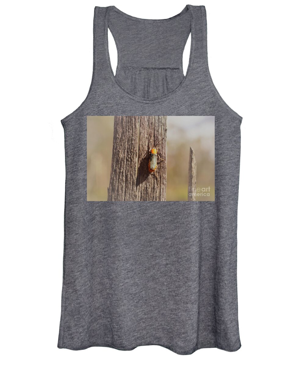 Beetle Women's Tank Top featuring the photograph Beetle #1 by Cassandra Buckley