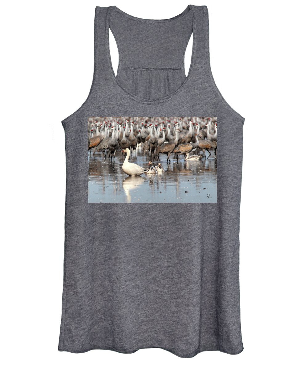 Wildlife Women's Tank Top featuring the photograph In Front of Giants by Robert Harris