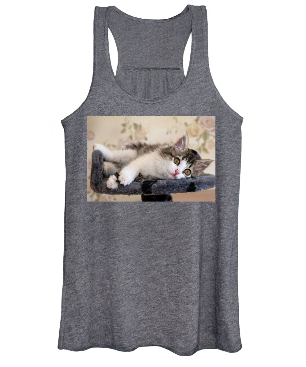 Cat Women's Tank Top featuring the photograph Kitten Lying On Bed And Looking At Camera by Mikhail Kokhanchikov