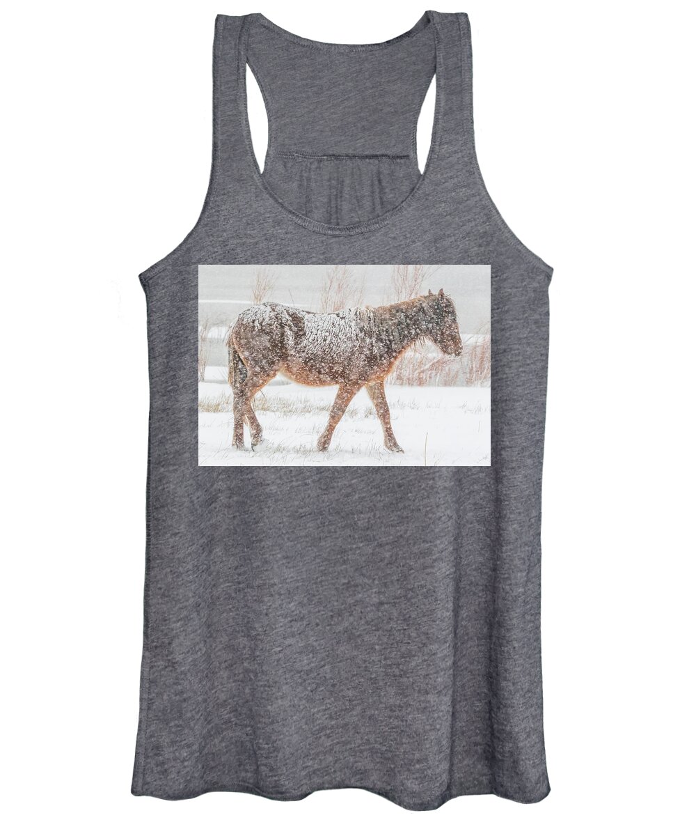 Nevada Women's Tank Top featuring the photograph Searching For Food #1 by Marc Crumpler