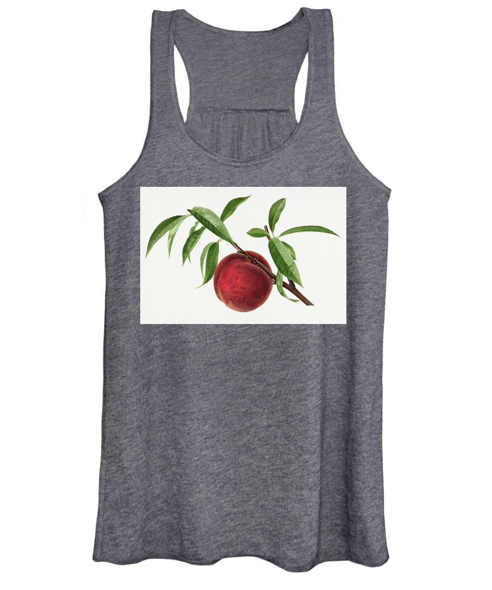 #pdwatercolorfruit Women's Tank Top featuring the painting Vintage oranges illustration 1 #1 by MotionAge Designs