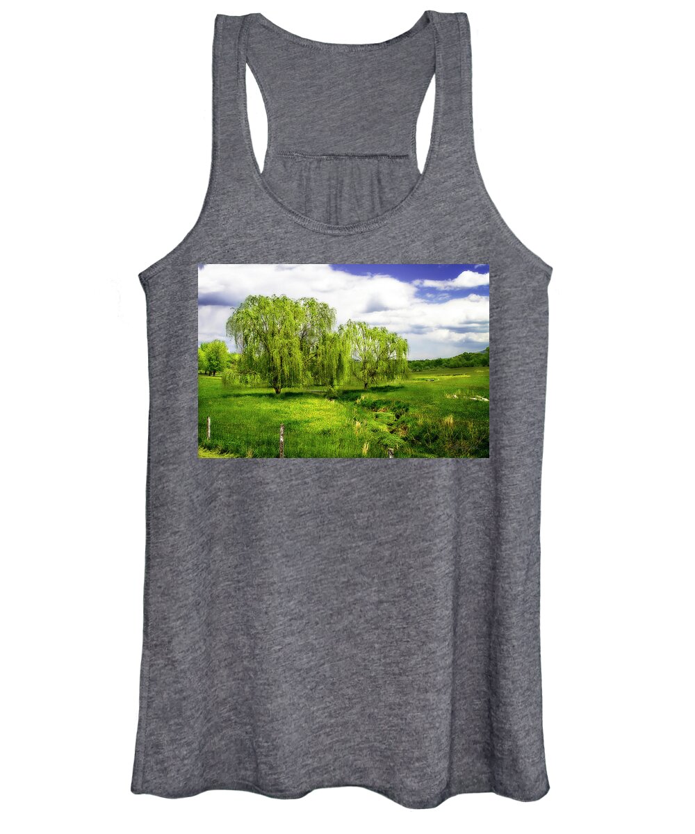 Color Women's Tank Top featuring the photograph Willows -2 #1 by Alan Hausenflock