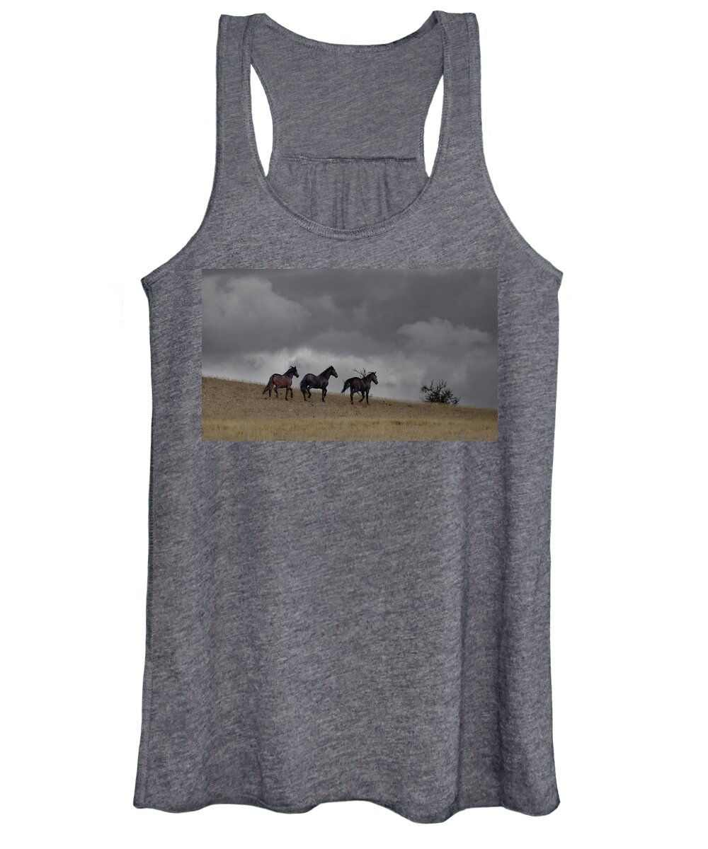 Horse Women's Tank Top featuring the photograph Stallions #2 by Laura Terriere