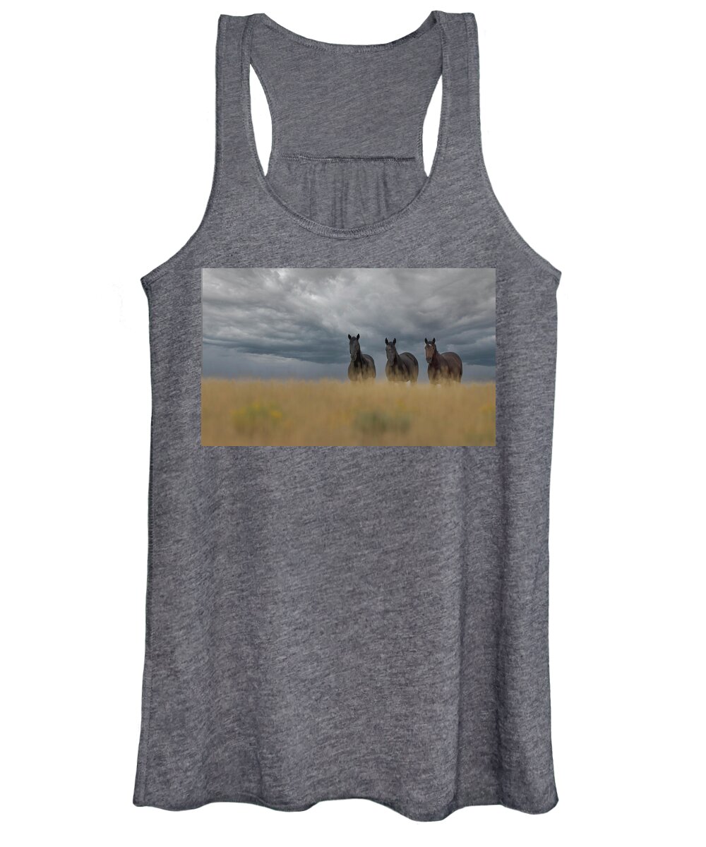 Horse Women's Tank Top featuring the photograph Wild Horses #2 by Laura Terriere