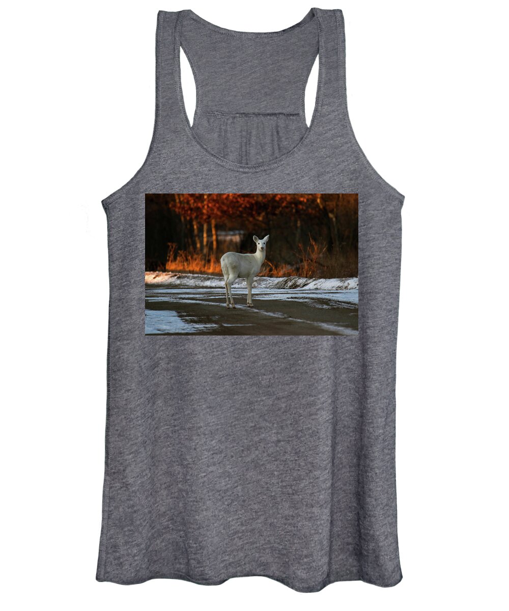 White Women's Tank Top featuring the photograph White Deer #5 by Brook Burling