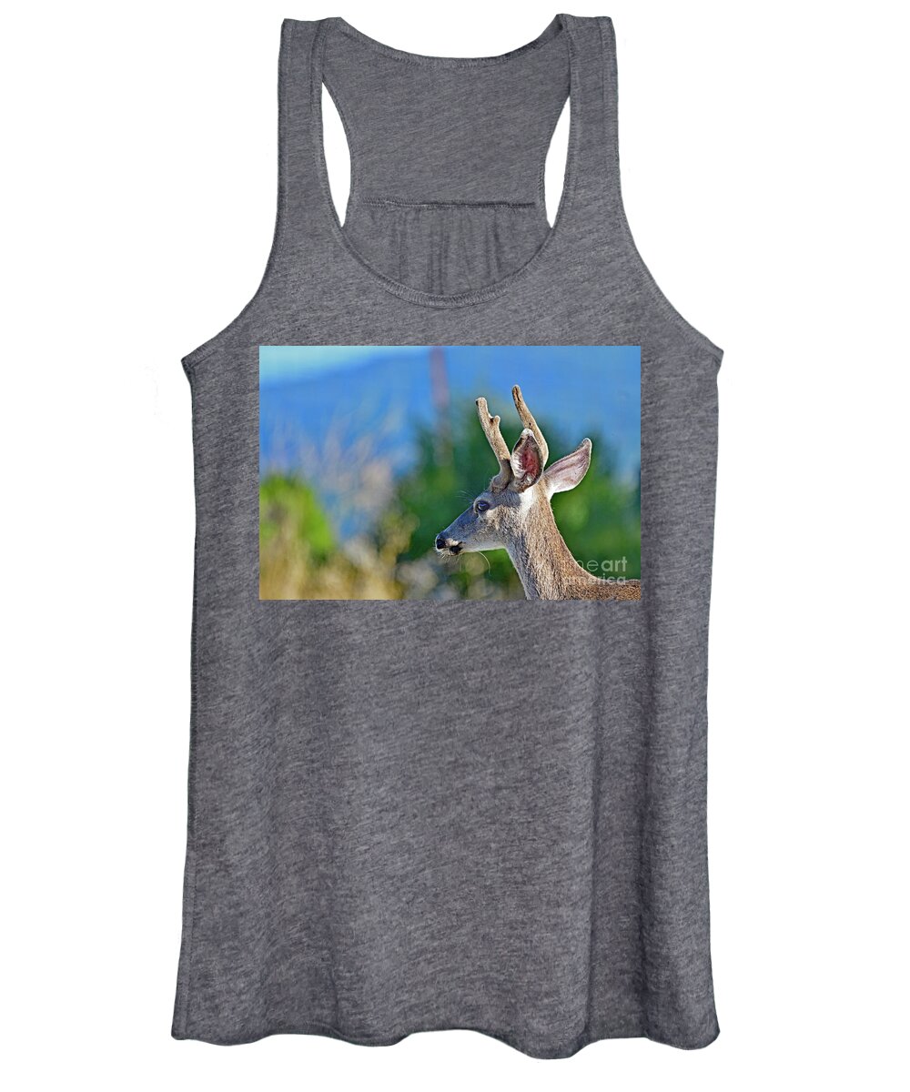 Deer Women's Tank Top featuring the photograph An young Mule Deer by Amazing Action Photo Video