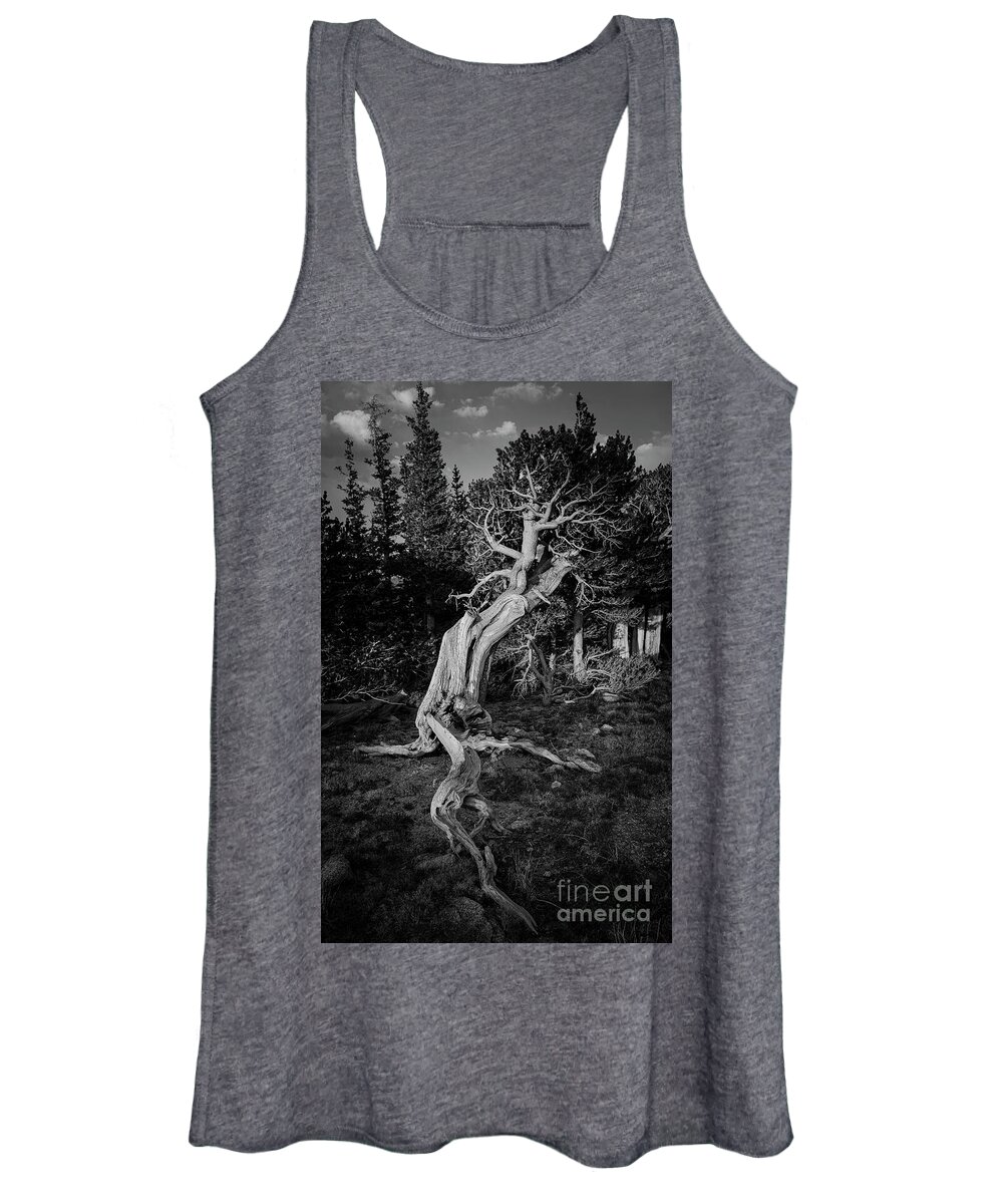 Ancient Sentinels Women's Tank Top featuring the photograph Ancient One by Maresa Pryor-Luzier