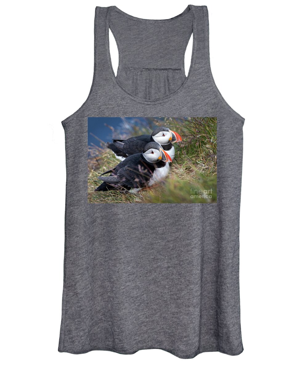 Photography Women's Tank Top featuring the photograph Atlantic Puffin Love by Erin Marie Davis