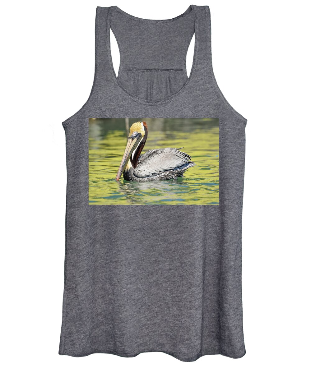 Brown Pelican Women's Tank Top featuring the photograph Bait Stand Reflections by Christopher Rice