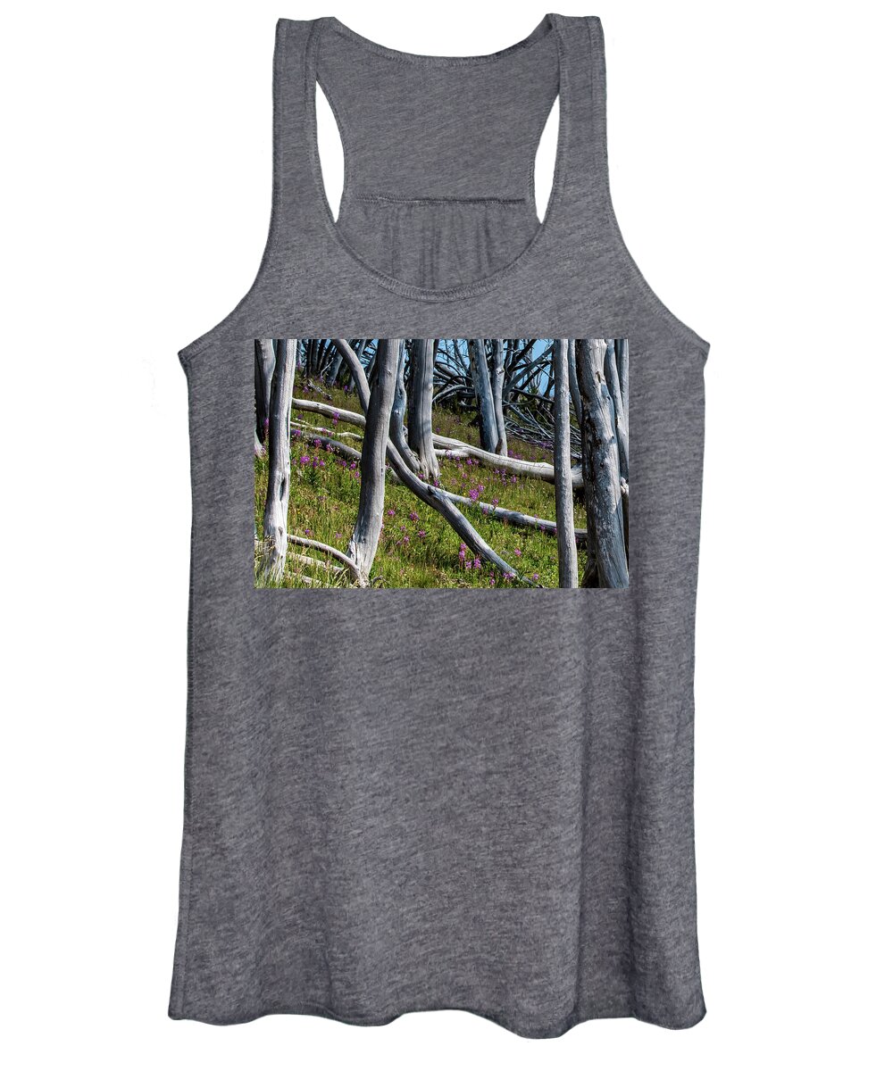 No People Women's Tank Top featuring the photograph Bare Trees, Pink flowers walking up a mountain by Nathan Wasylewski