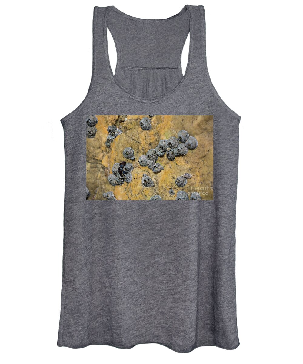 Barnacles Women's Tank Top featuring the photograph Barnacles by Eva Lechner