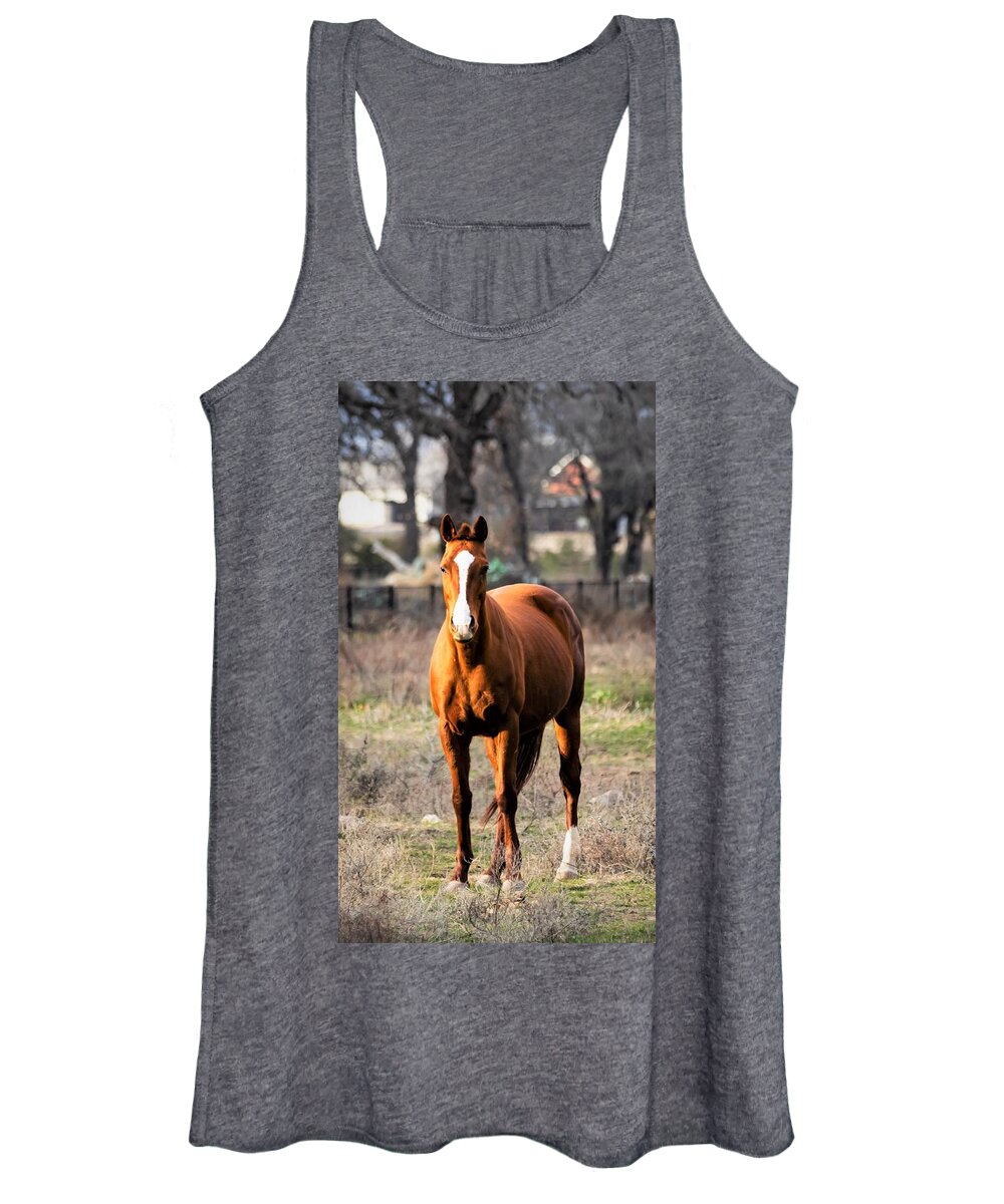 Horse Women's Tank Top featuring the photograph Bay Horse 4 by C Winslow Shafer