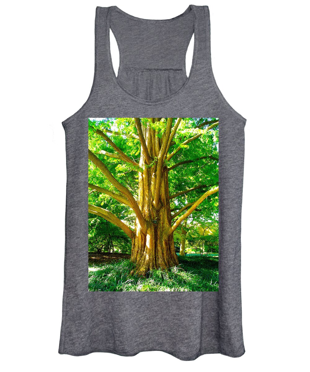 Landscape Women's Tank Top featuring the photograph Big Spikey Tree Woods by Patrick Malon