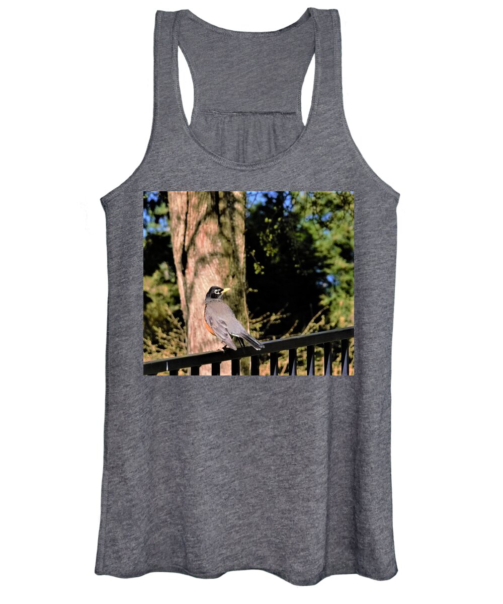 Bird Women's Tank Top featuring the photograph Bird searching for sunnier place by James Cousineau