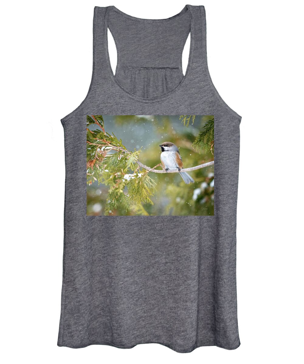Chickadees Women's Tank Top featuring the photograph Boreal Chickadee in Winter by Judi Dressler