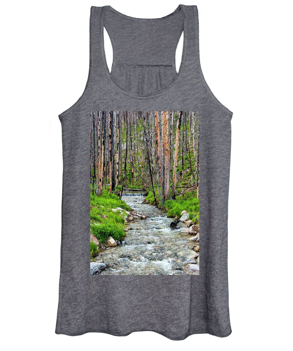 Stream Women's Tank Top featuring the photograph Burnt Out Forest by Pamela Dunn-Parrish