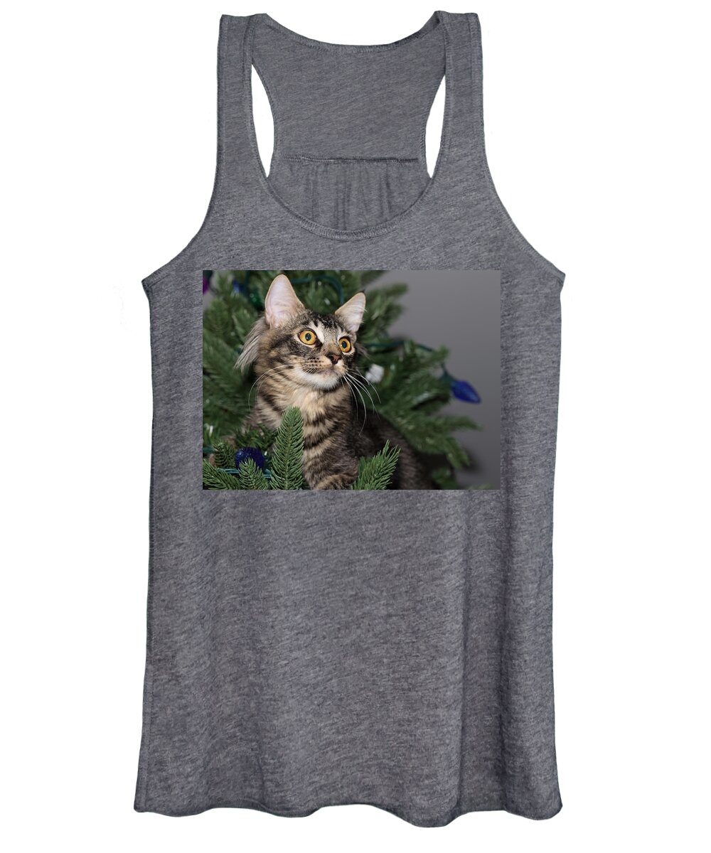 Maine Coon Women's Tank Top featuring the photograph Cat in a Christmas Tree by Mingming Jiang