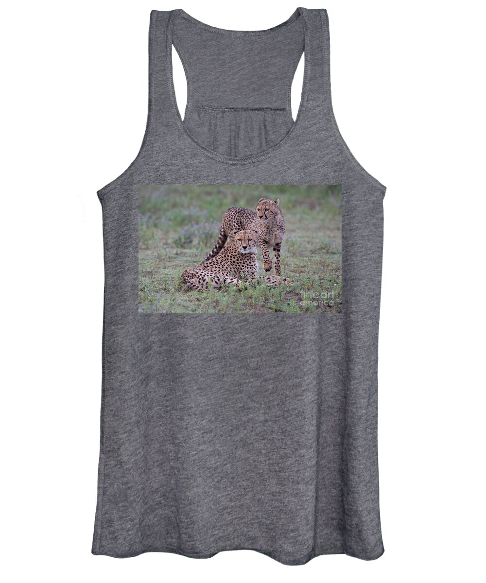Africa Women's Tank Top featuring the photograph Cheetah Moments by Sandra Bronstein