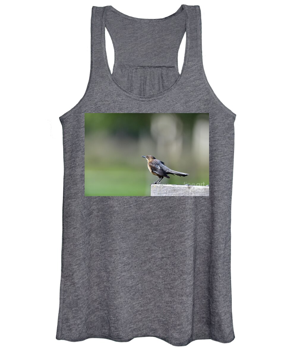 Quiscalus Quiscula Women's Tank Top featuring the photograph Common Grackle by Amazing Action Photo Video
