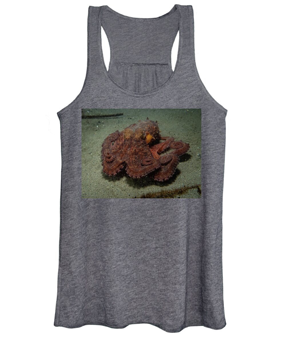 Octopus Women's Tank Top featuring the photograph Curly octopus by Brian Weber