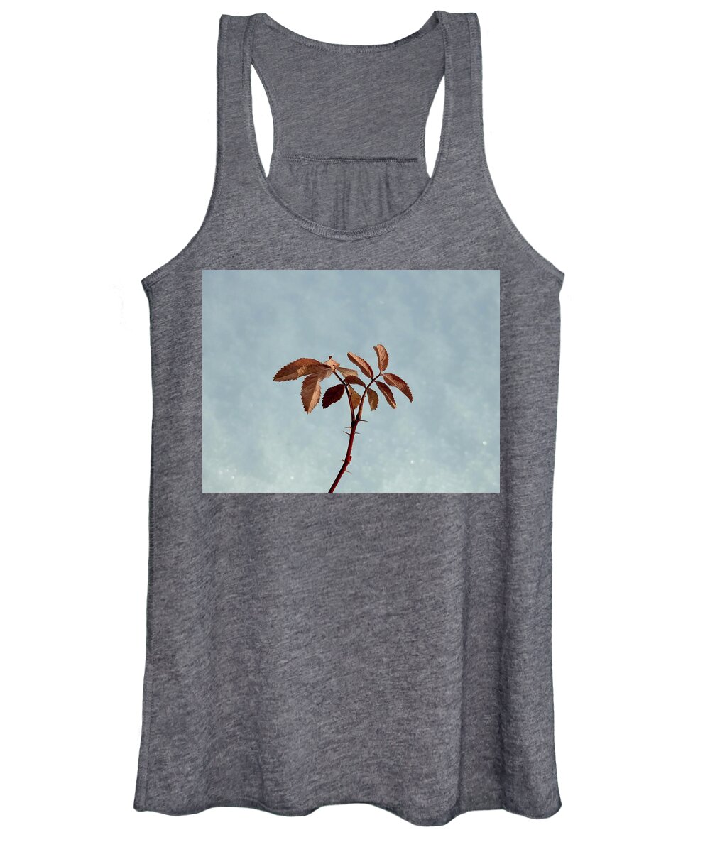  Women's Tank Top featuring the photograph December rose by Nicola Finch