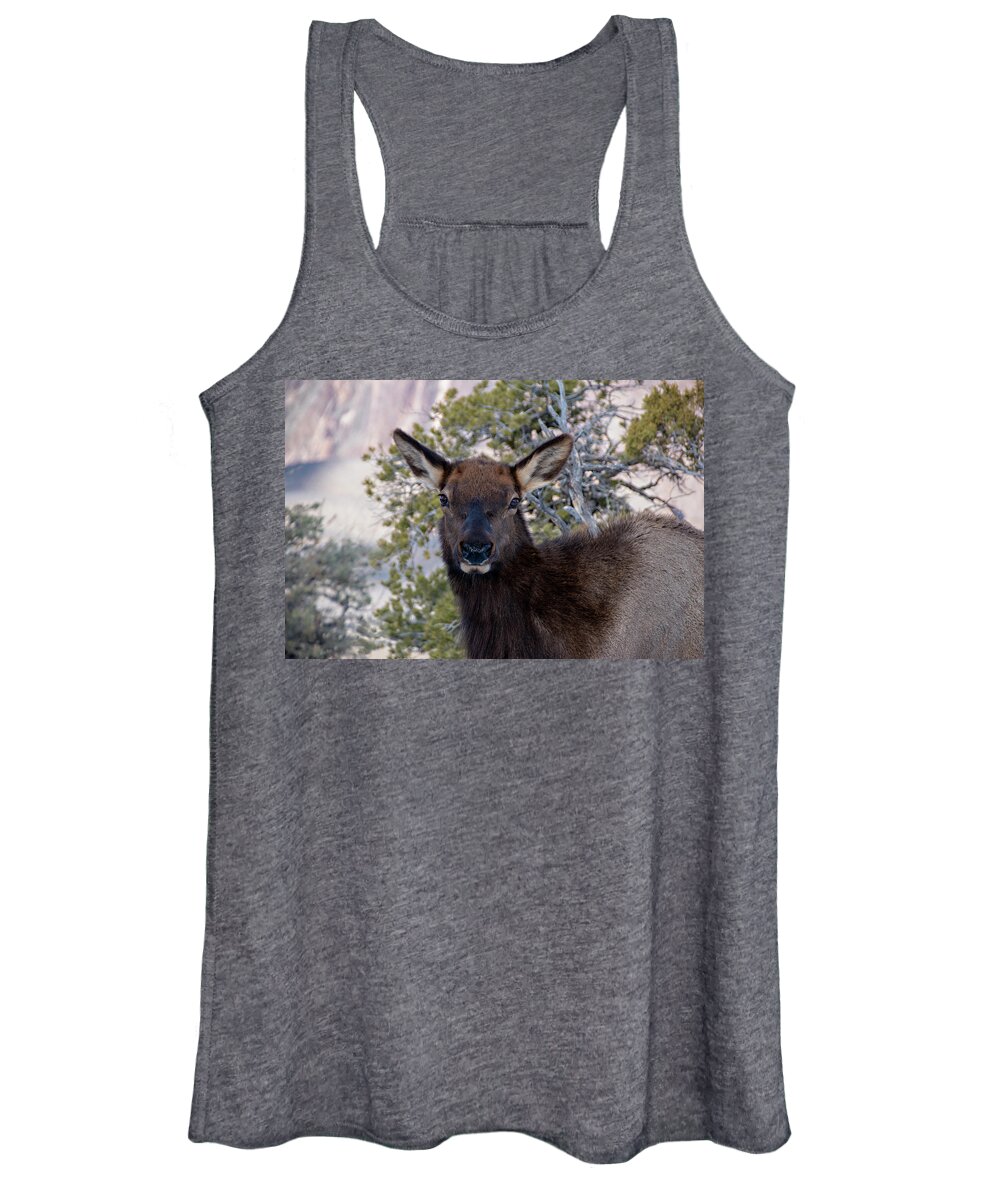 Grand Canyon Women's Tank Top featuring the photograph Deer Looking at Camera at Grand Canyon by John Twynam