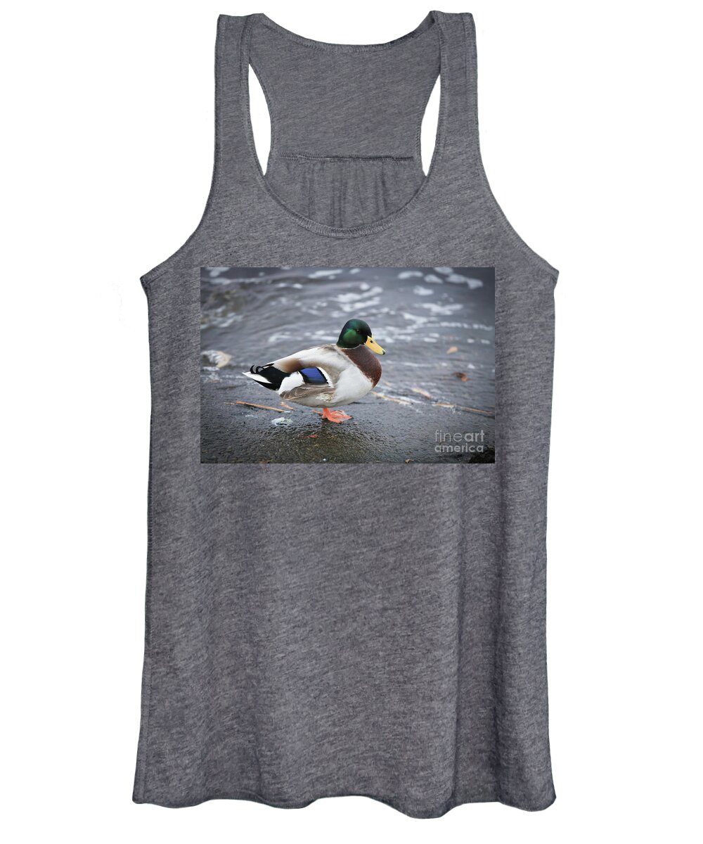 Duck Women's Tank Top featuring the photograph Duckly by Mina Isaac
